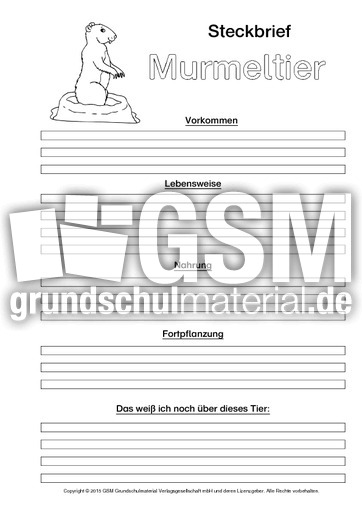 Murmeltier-Steckbriefvorlage-sw.pdf